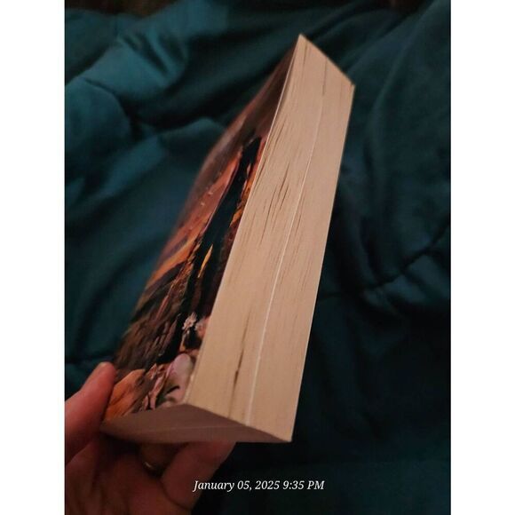 Death lands labyrinth by James Axler gold eagle books isbn 0373625839 - Picture 5 of 5